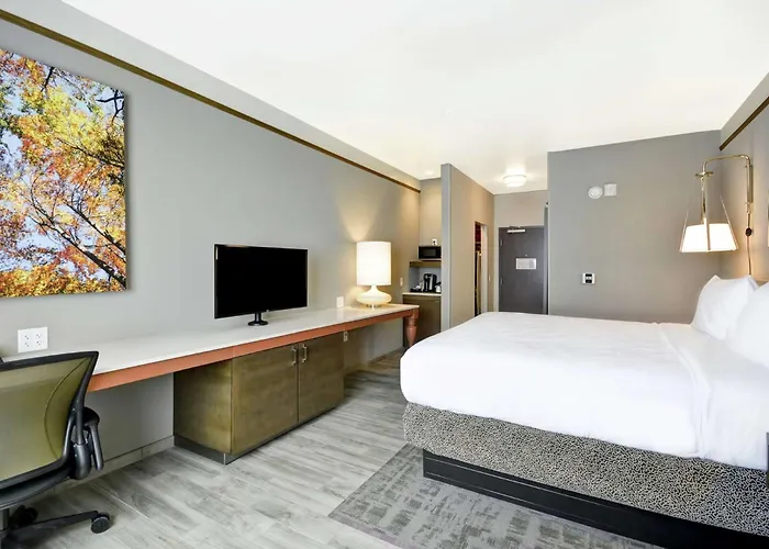 Hotel Hilton Garden By Hilton Phoenix/tempe Asu Area, Az